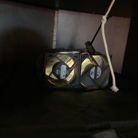 White Widow Auto 🕷️ growlog photo: Estou mantendo esses 2 coolers para fazer a exaustão até comprar outro exaustor novo(esperando a fatura do cartão fechar) 
Sinto que não está dando conta pela temperatura alta mas logo menos iriei subtítulos 