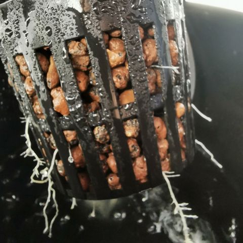 Girl Scout Cookies  growlog timeline photo