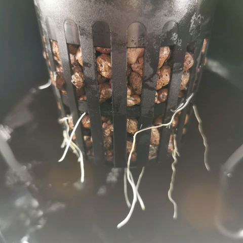 Girl Scout Cookies  growlog timeline photo