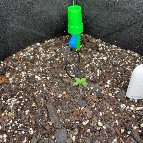 Wedding Crasher 3-2 growlog timeline photo