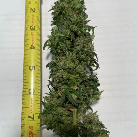 Wedding Crasher 3-2 growlog timeline photo