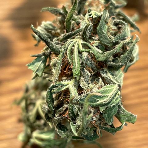 Wedding Crasher 3-2 growlog timeline photo