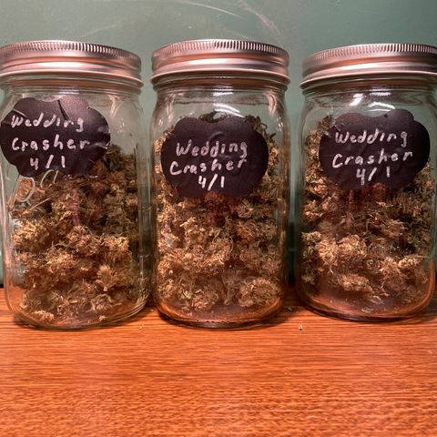 Wedding Crasher 3-2 growlog timeline photo