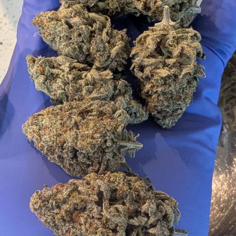 Four Peaks growlog timeline photo
