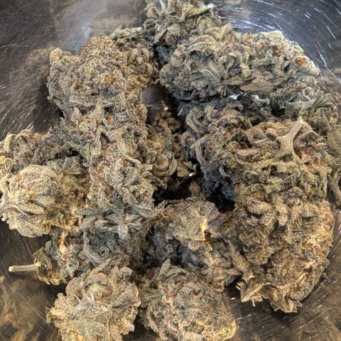 Four Peaks growlog timeline photo