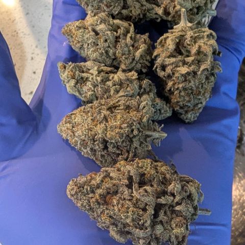Four Peaks growlog timeline photo