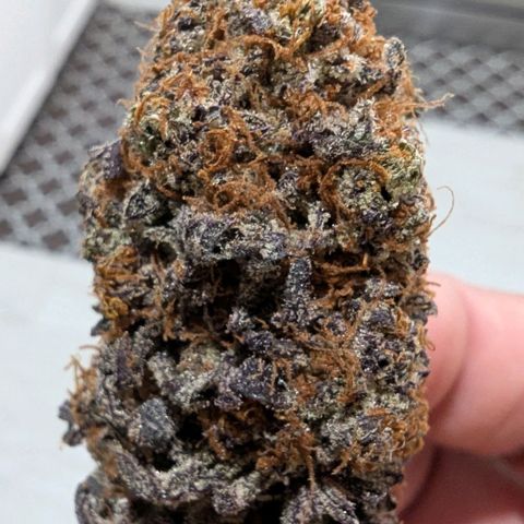 Purple Panty Dropper growlog photo: Cure done!