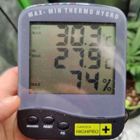 JonesIndica growlog timeline photo