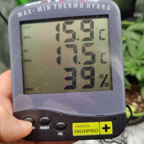 JonesIndica growlog timeline photo