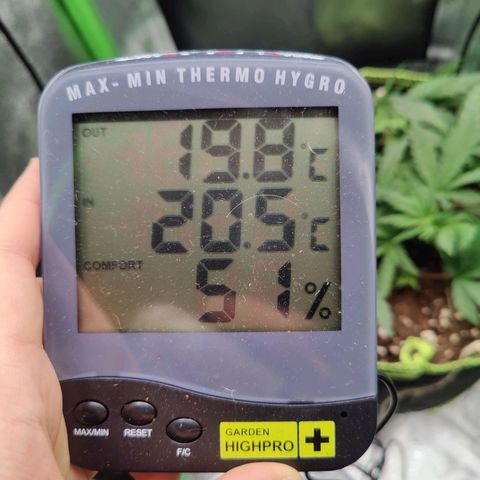JonesIndica growlog timeline photo
