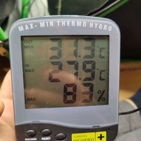 JonesIndica growlog photo: Trockengewicht 3,1KG
