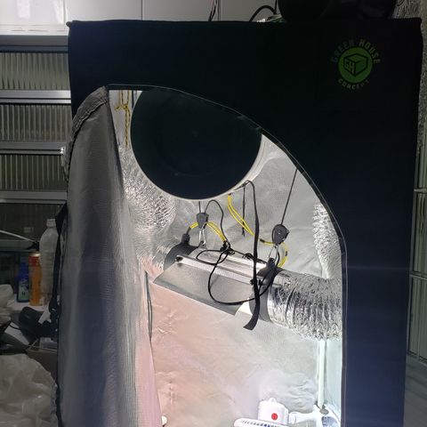 Mara e Maravilha growlog timeline photo