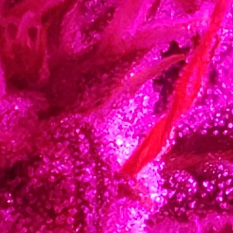 Amnesia Auto growlog timeline photo