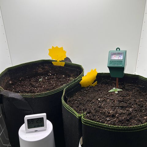 Northern Lights Auto RQS growlog timeline photo