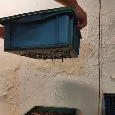 Ciclo 02 growlog timeline photo