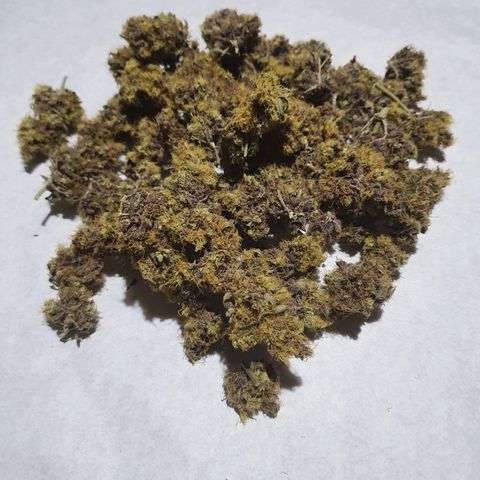 Ciclo 02 growlog photo: Early purple pheno 35.3g
Early Green pleno 43.3g
