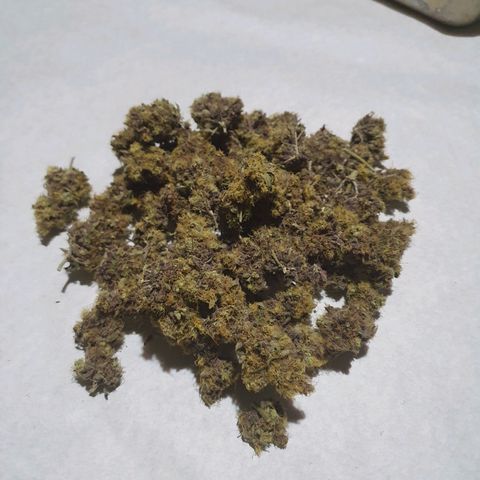 Ciclo 02 growlog photo: Early purple pheno 35.3g
Early Green pleno 43.3g