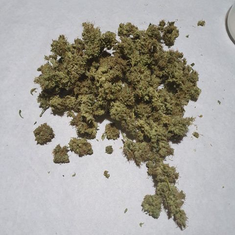 Ciclo 02 growlog photo: Early purple pheno 35.3g
Early Green pleno 43.3g