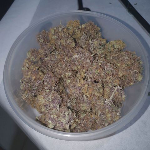 Ciclo 02 growlog photo: Early purple pheno 35.3g
Early Green pleno 43.3g