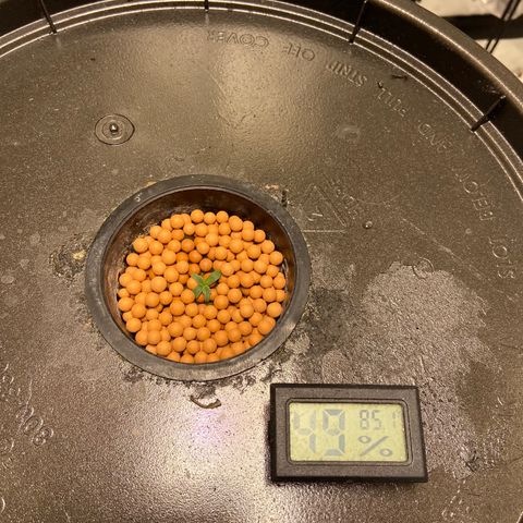Mac growlog photo: So smol