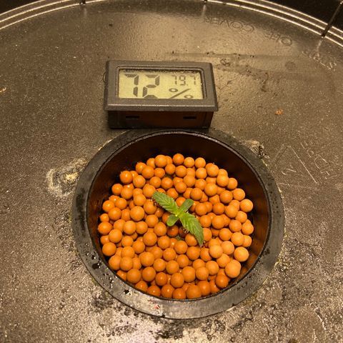 Mac growlog photo: she's doing well!