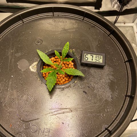 Mac growlog photo: Doing so good she has water droplets even!