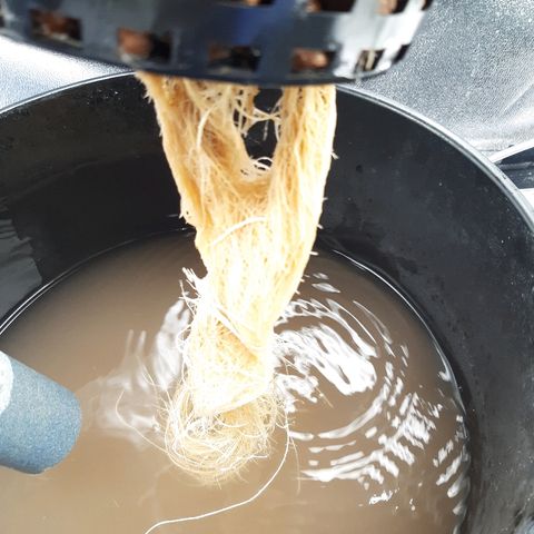 Tropicana cookies  growlog timeline photo