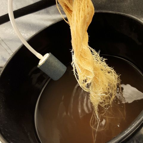 Tropicana cookies  growlog timeline photo