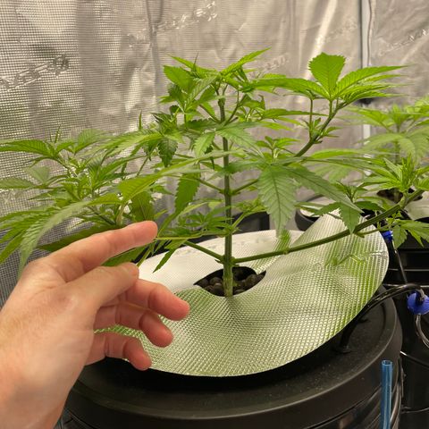 10FtTugTest growlog timeline photo