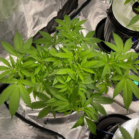 10FtTugTest growlog photo: She’s moving right along this morning! 