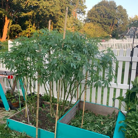 Pu Tang growlog timeline photo