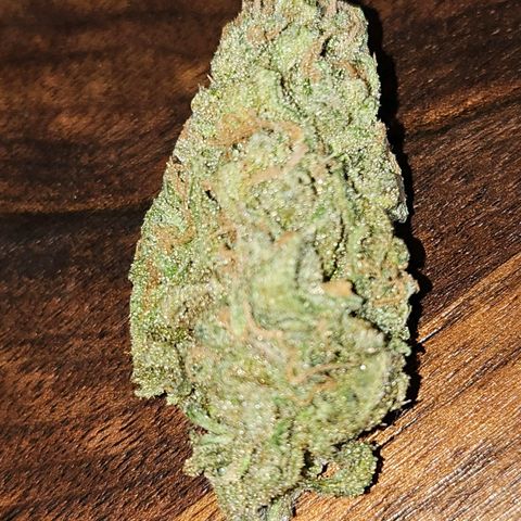 Original Auto BubbleGum growlog timeline photo