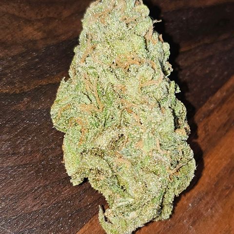 Original Auto BubbleGum growlog timeline photo
