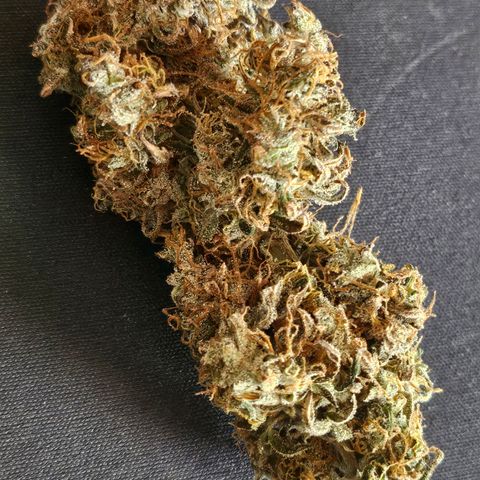 Original Auto Northern Lights growlog timeline photo