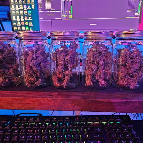Orange Creamsicle X Hella Jelly growlog timeline photo