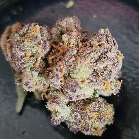 Grand Candy 2 🍬 growlog timeline photo