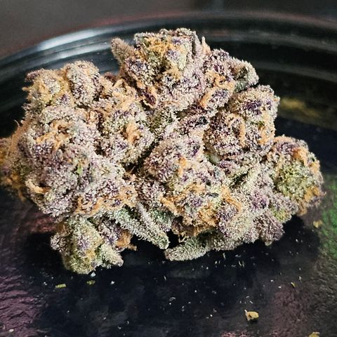 Grand Candy 2 🍬 growlog timeline photo