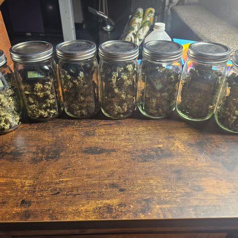 Blueberry Pancakes growlog timeline photo