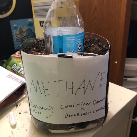 Methane  growlog timeline photo