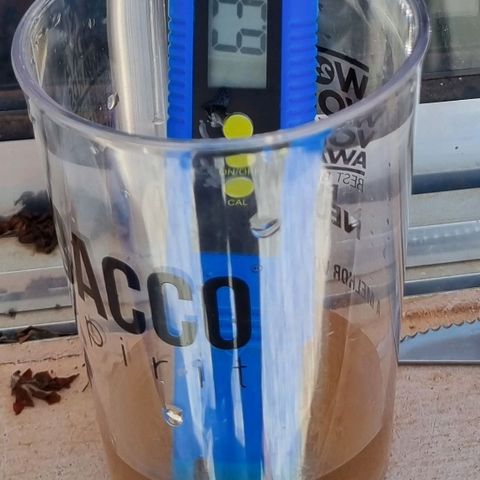 Mary - Og kush - Santa Semente BR growlog timeline photo