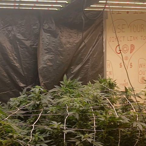 GARYPAYTON  growlog timeline photo