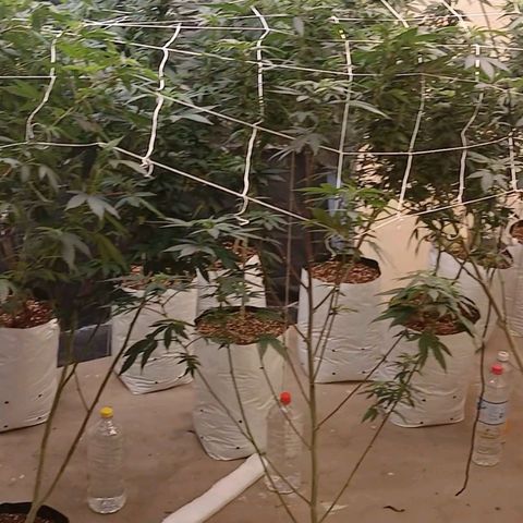 GARYPAYTON  growlog timeline photo