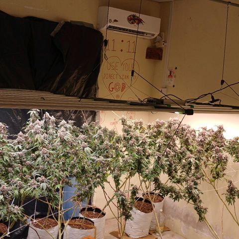 GARYPAYTON  growlog timeline photo