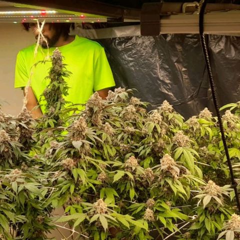 GARYPAYTON  growlog timeline photo