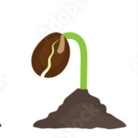 Nada (Azul) growlog timeline photo