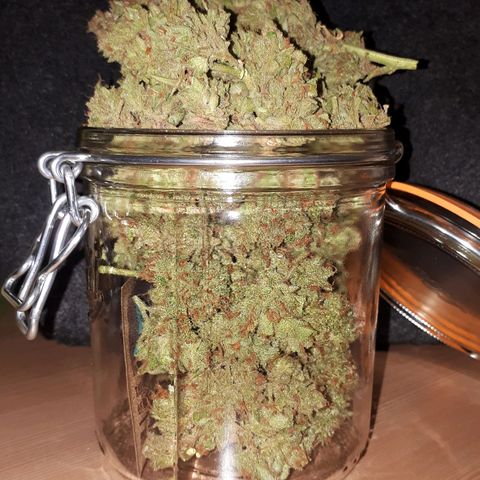 Wedding Cake Automatic growlog timeline photo