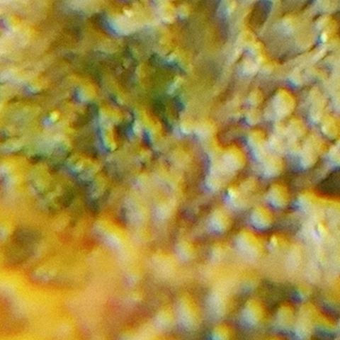 PURPLE QUEEN  growlog photo: Flashing readying for harvest in 10 - 14 days 