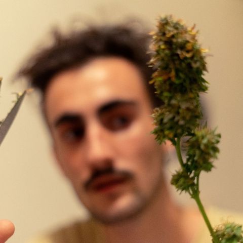 El Comandante growlog timeline photo