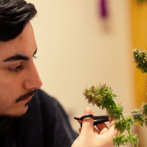 El Comandante growlog timeline photo
