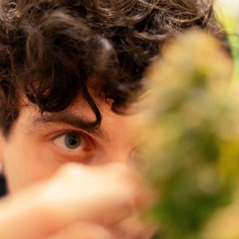 El Comandante growlog timeline photo